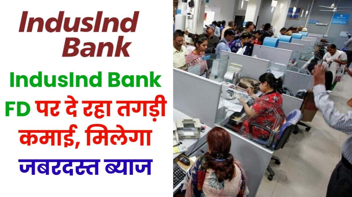 indusind bank